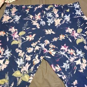 Terra & Sky 3x Jegging Floral Print